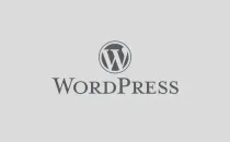 建站为什么选择WordPress？