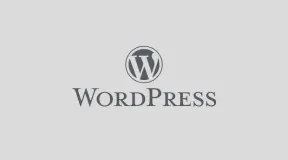 建站为什么选择WordPress？