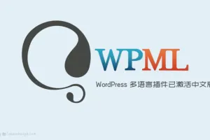 WPML Multilingual CMS 4.5.13汉化中文版合集|WordPress多国语言网页自动翻译插件