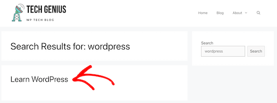 如何使用 SearchWP 改进 WordPress 搜索(简单快捷)